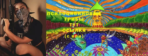 2c-b Алзамай