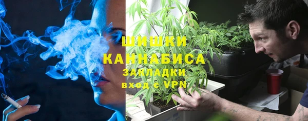 шишки Абинск
