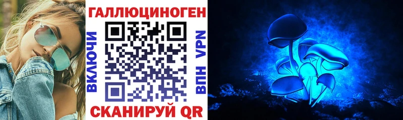 blacksprut рабочий сайт Горбатов Галлюциногенные грибы Psilocybe купить цена
